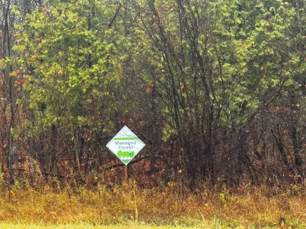 North Glengarry, ON K0C 1A0,LOT COUNTY ROAD 43 RD