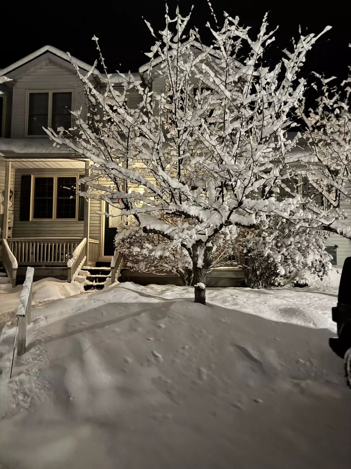 Blue Mountains, ON N4L 2P0,150 Victoria ST S #126