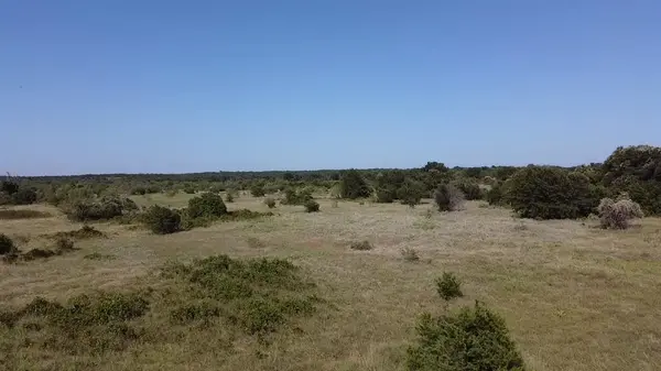 TBD10 Ballew Springs Road, Weatherford, TX 76088