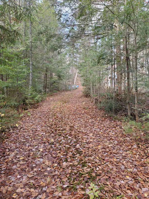 Lake Of Bays, ON P0B 1A0,00000 Ril Lake RD