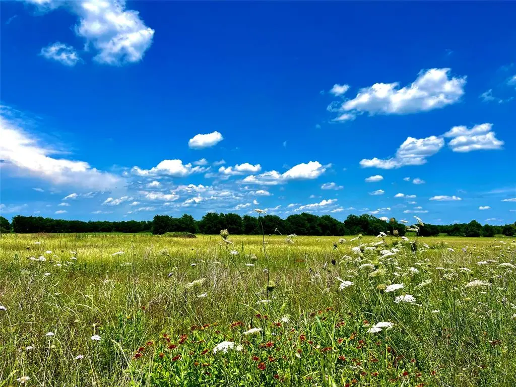 Lot 7 CR-590, Nevada, TX 75173