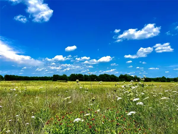 Lot 7 CR-590, Nevada, TX 75173