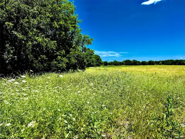 Lot 7 CR-590, Nevada, TX 75173