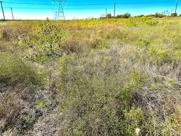 Lot 7 CR-590, Nevada, TX 75173