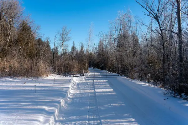 14165 Trafalgar RD, Halton Hills, ON L7G 4S4