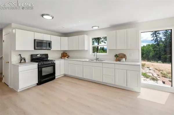 4710 Wildhorn RD, Florissant, CO 80816