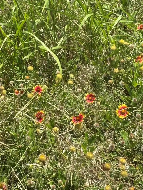 Lot 2 Chisholm Trail, Valley Mills, TX 76689