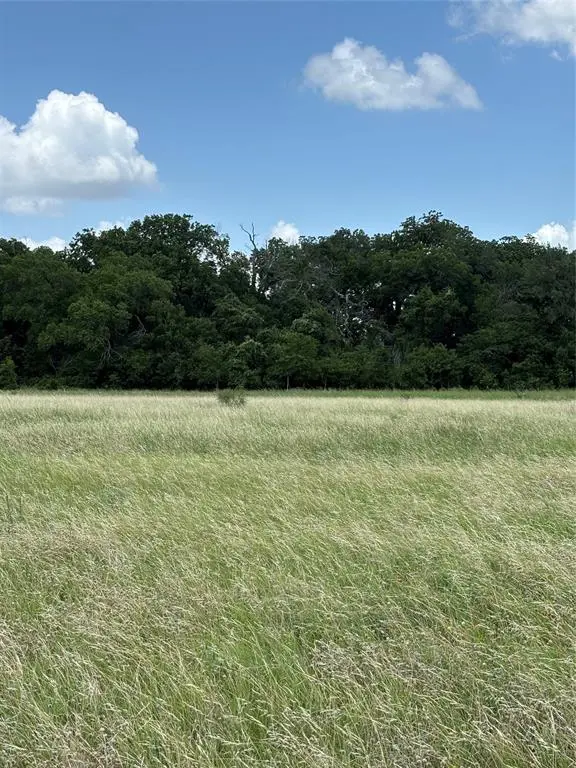 Lot 4 Chisholm Trail, Valley Mills, TX 76689