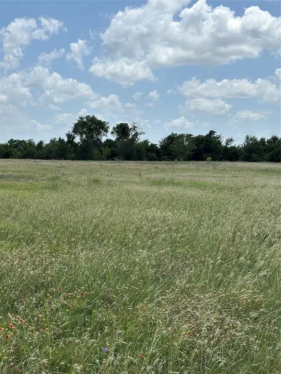 Lot 5 Chisholm Trail, Valley Mills, TX 76689