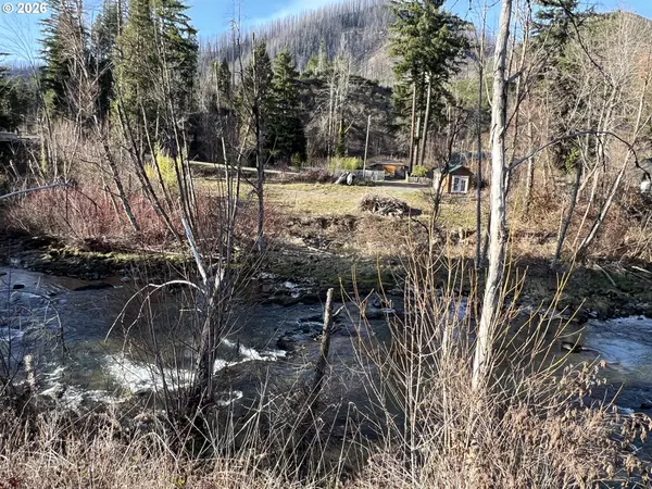 Blue River, OR 97413,91241 BLUE RIVER RD