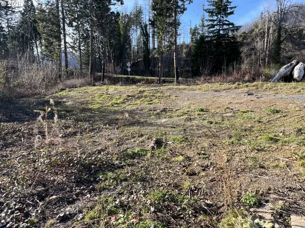 Blue River, OR 97413,91241 BLUE RIVER RD