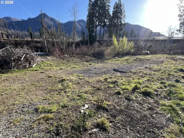 91241 BLUE RIVER RD, Blue River, OR 97413