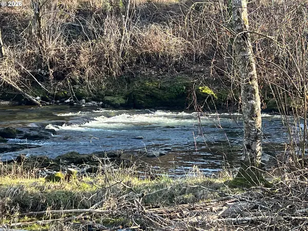 91241 BLUE RIVER RD, Blue River, OR 97413