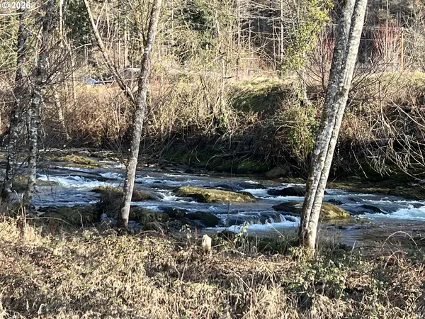 91241 BLUE RIVER RD, Blue River, OR 97413