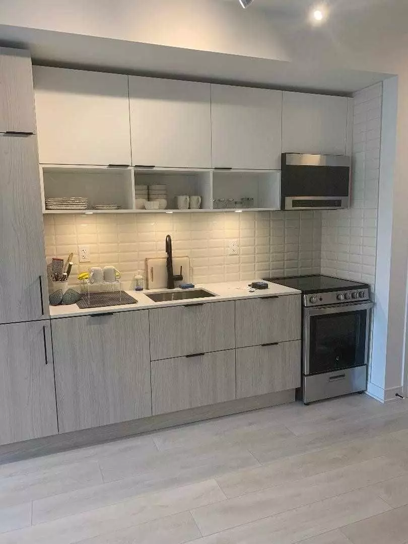 Toronto C08, ON M5A 0V6,180 Mill ST #S 511