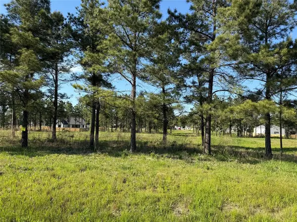 100 Faith Plantation Drive #37, Princeton, LA 71067