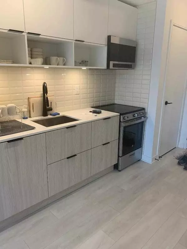 Toronto C08, ON M5A 0V6,180 Mill ST #S 511