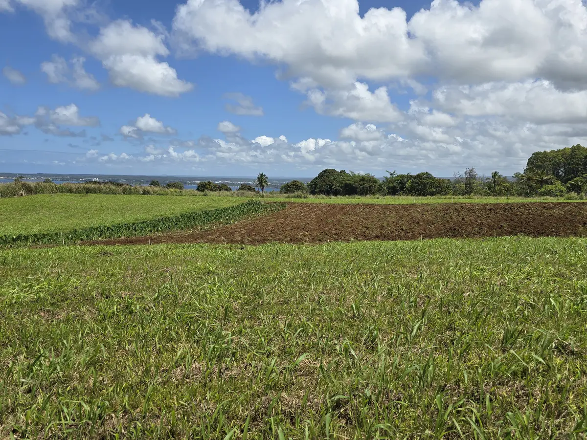 PUIA ROAD, Hilo, HI 96720