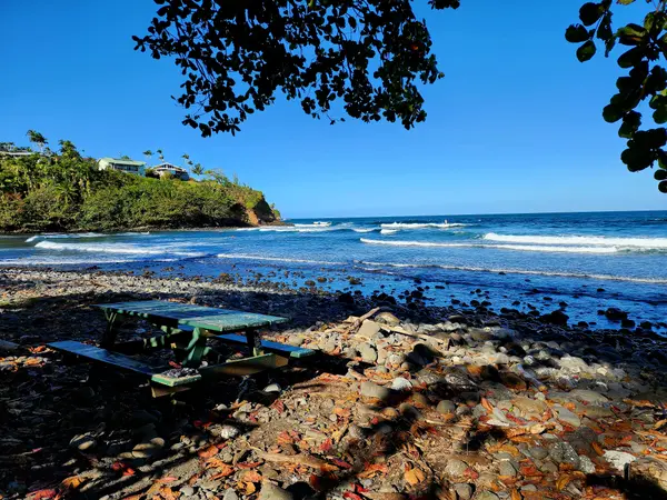 PUIA ROAD, Hilo, HI 96720