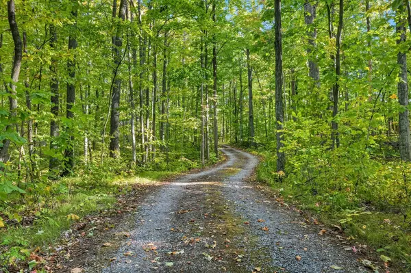 1530 10 Line W, Trent Hills, ON K0L 1L0