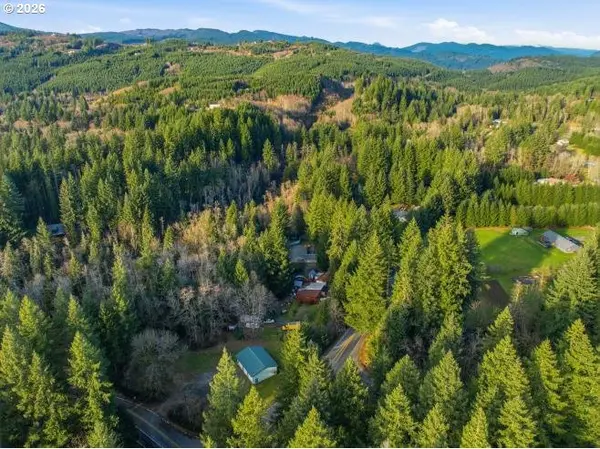 1250 YALE BRIDGE RD, Amboy, WA 98601