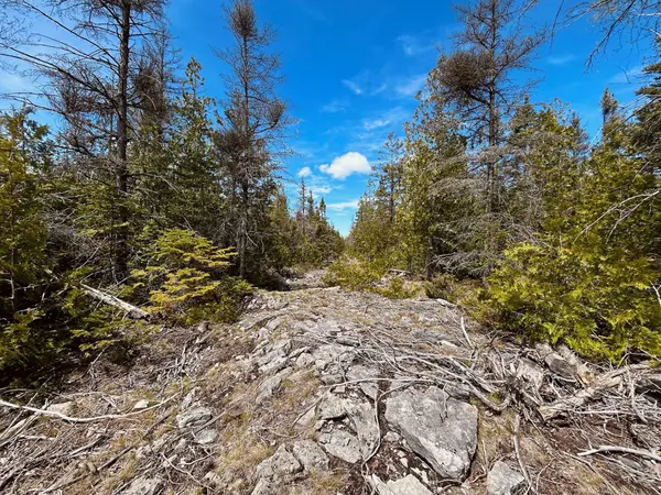 Northern Bruce Peninsula, ON N0H 1Z0,155 Bradley DR