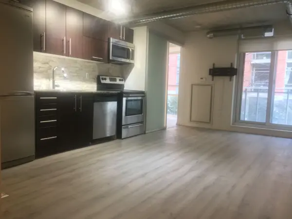 Toronto C01, ON M6J 0A9,170 Sudbury ST #210