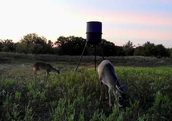 1800 County Road 479, Gorman, TX 76454