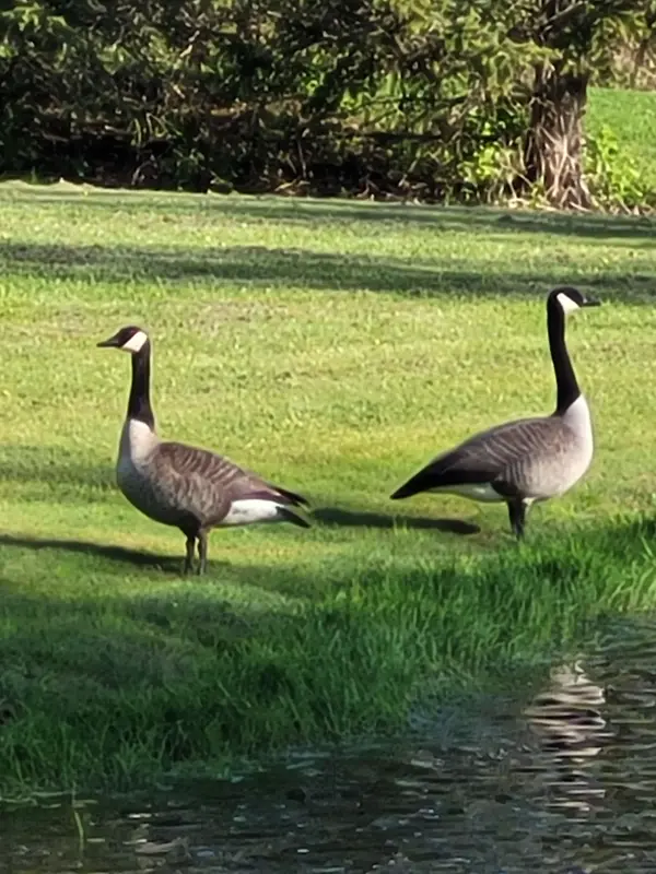 2264 Britannia RD, Burlington, ON L7P 0G2