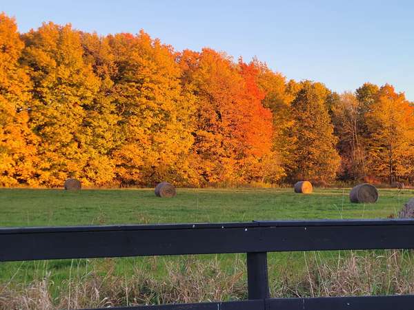 2264 Britannia RD, Burlington, ON L7P 0G2