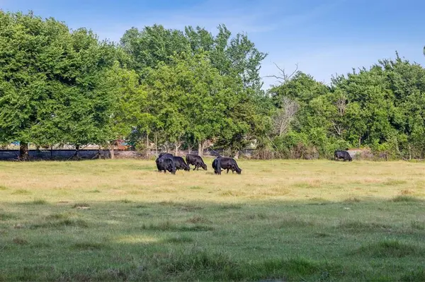 TBD W Clifton Street, Pilot Point, TX 76258