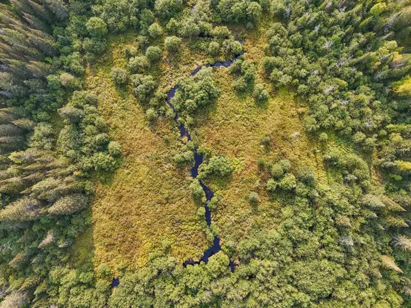 356 Hunt Line, Powassan, ON P0H 1Z0