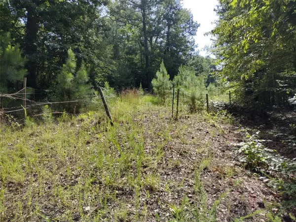 TBD Willow Point Marina Road, Avinger, TX 75668