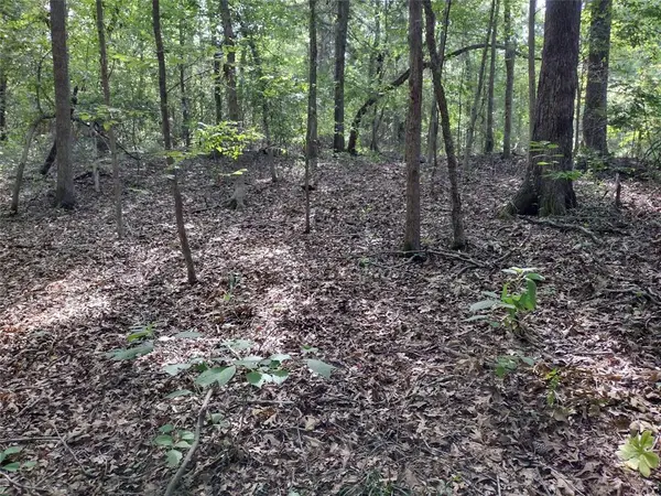 TBD Willow Point Marina Road, Avinger, TX 75668