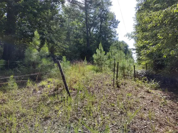 TBD Willow Point Marina Road, Avinger, TX 75668