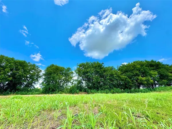 Lot 12 CR-590, Nevada, TX 75173