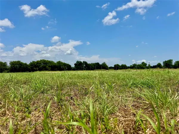 Lot 12 CR-590, Nevada, TX 75173