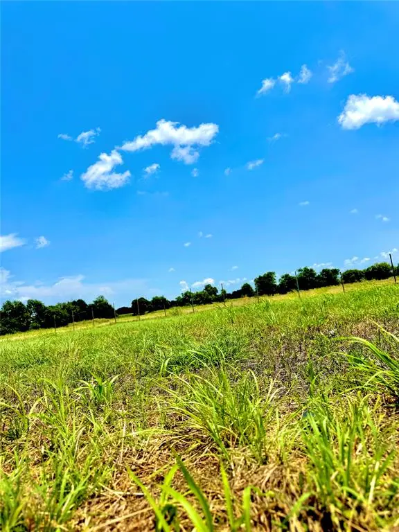 Lot 12 CR-590, Nevada, TX 75173