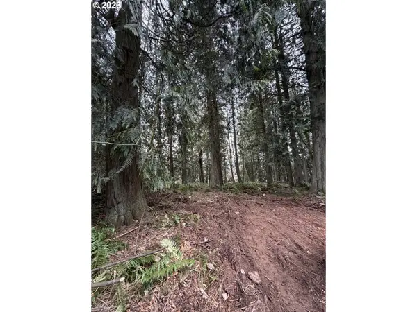 Meserve RD, Rainier, OR 97048