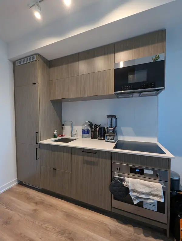 Toronto C01, ON M5G 0C5,20 Edward ST #1319