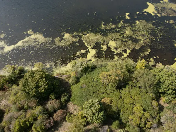 114 Hineman ST, Kingston, ON K7L 0G2