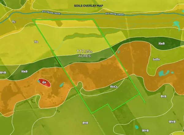 Ennis, TX 75119,TBD 117 acres S Anthony Road