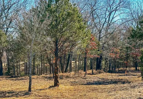 800 Burrows Chapel Road, Gordonville, TX 76245