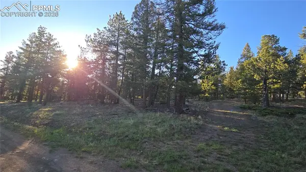 Chubb CT, Buena Vista, CO 81211