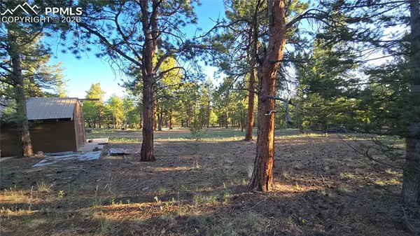 Chubb CT, Buena Vista, CO 81211