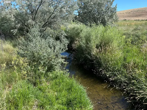 Address not disclosed, Lexington, OR 97839