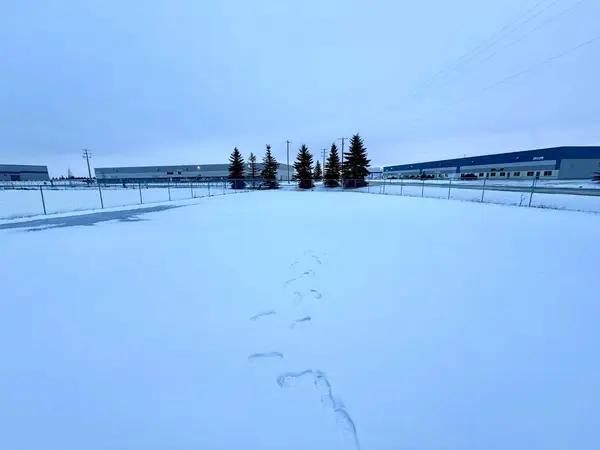 8 Van Der Horn WAY, Rural Red Deer County, AB T4S 2M4