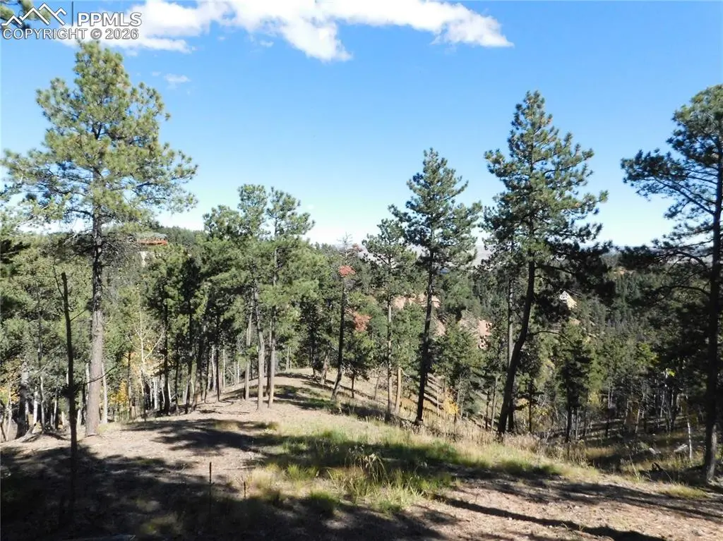 13886 Boulder LN, Larkspur, CO 80118