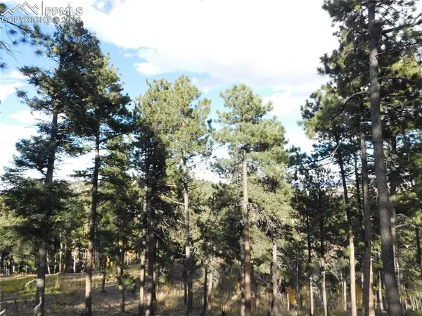 13910 Boulder LN, Larkspur, CO 80118