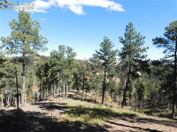 13886 Boulder LN, Larkspur, CO 80118